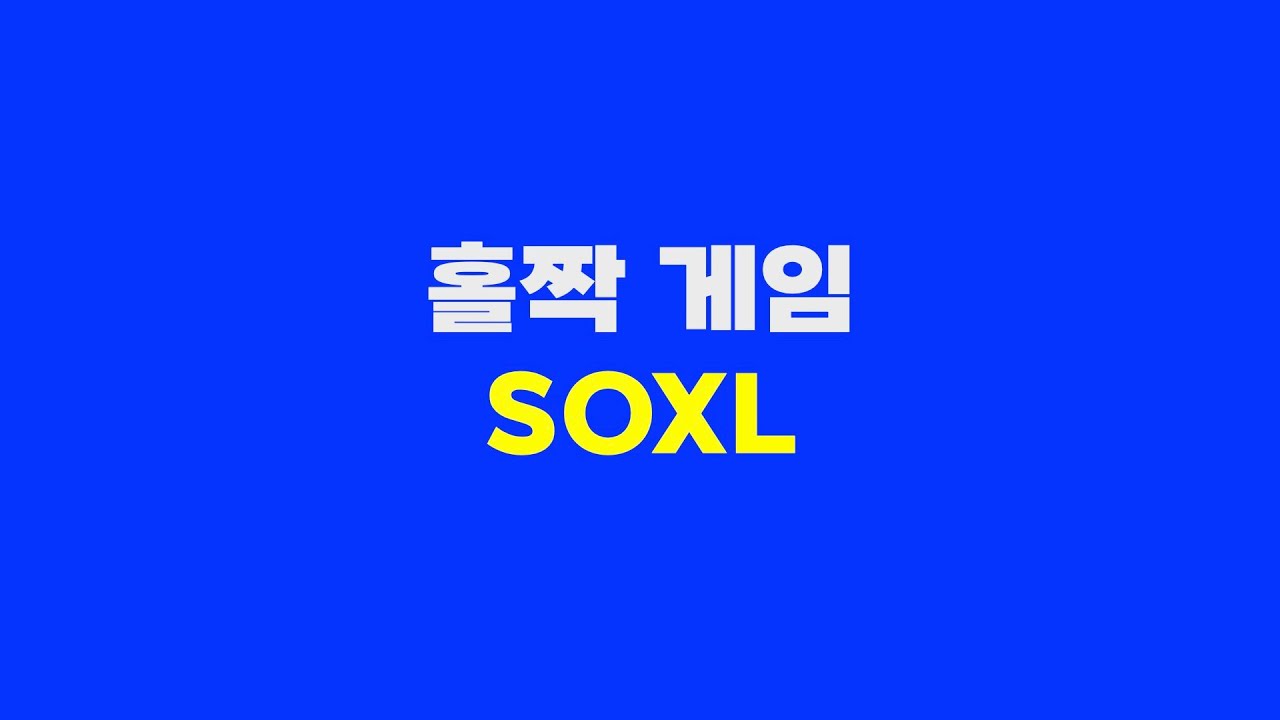 #홀짝게임