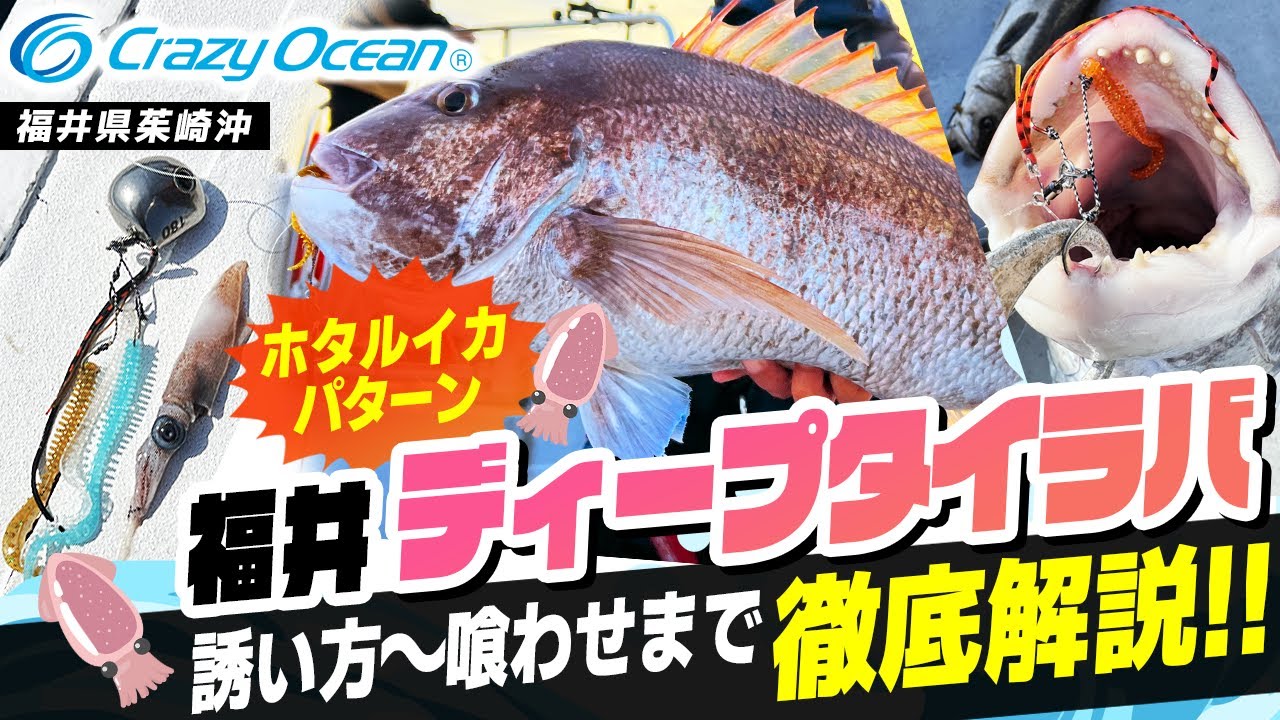 【タイラバ】絶対釣れるディープタイラバでの釣り方を徹底解説！