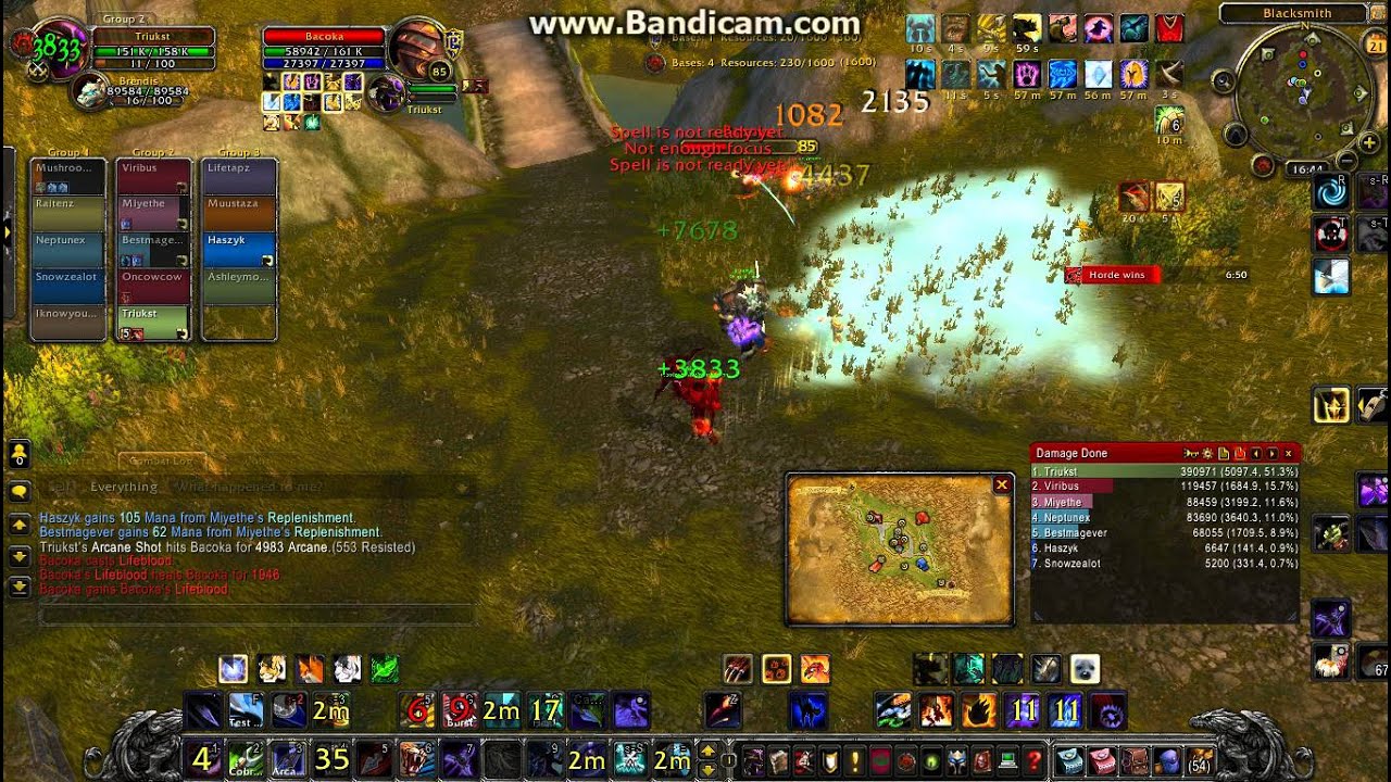 Cataclysm BM hunter pvp (4.3)