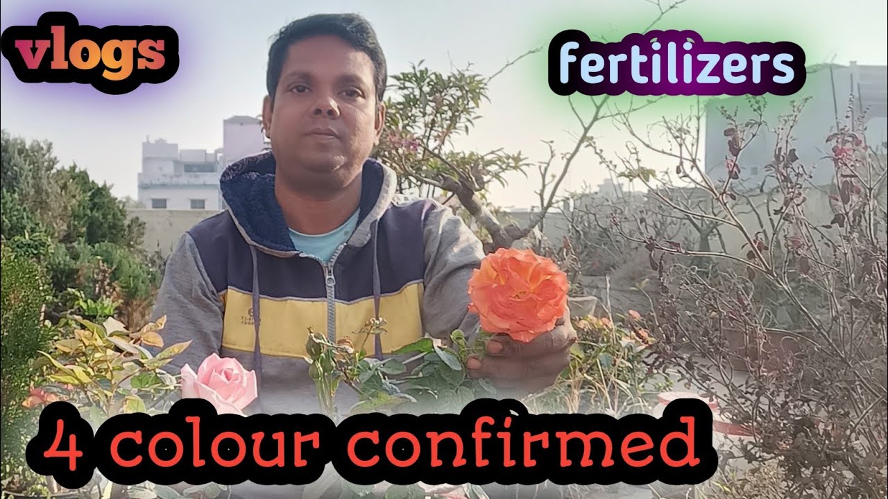 इस तरह खाद बना कर डालें 3 महीने की छुट्टी ||