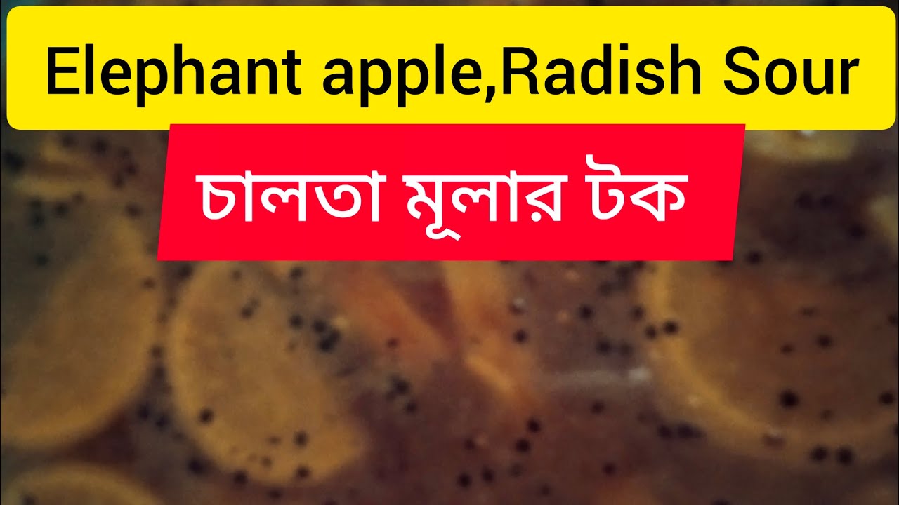 Elephant apple, Radish Sour//চালতা, মূলার টক //@malatis_kitchen