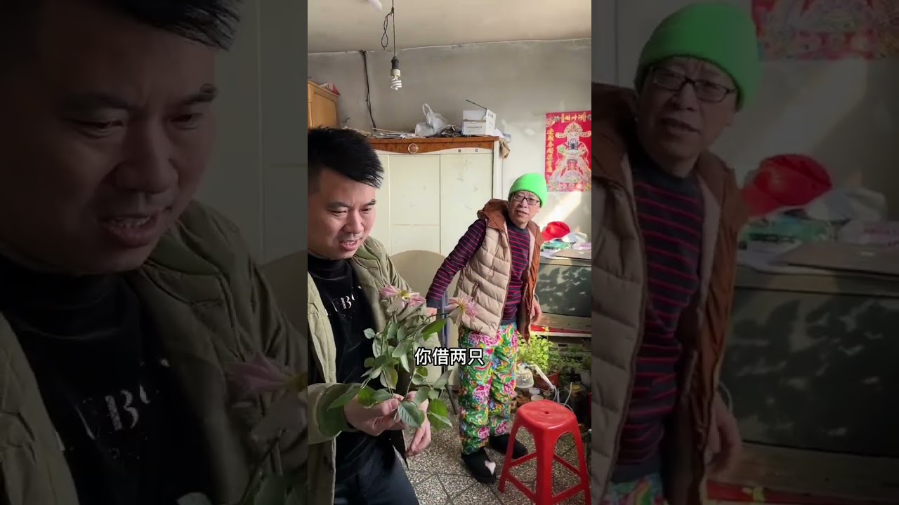 考察回来开始规划，情人节二丫回来了…