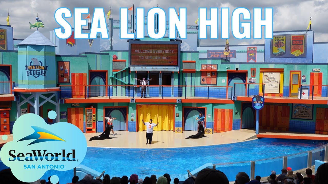 Sea Lion High (Full Show) - SeaWorld San Antonio