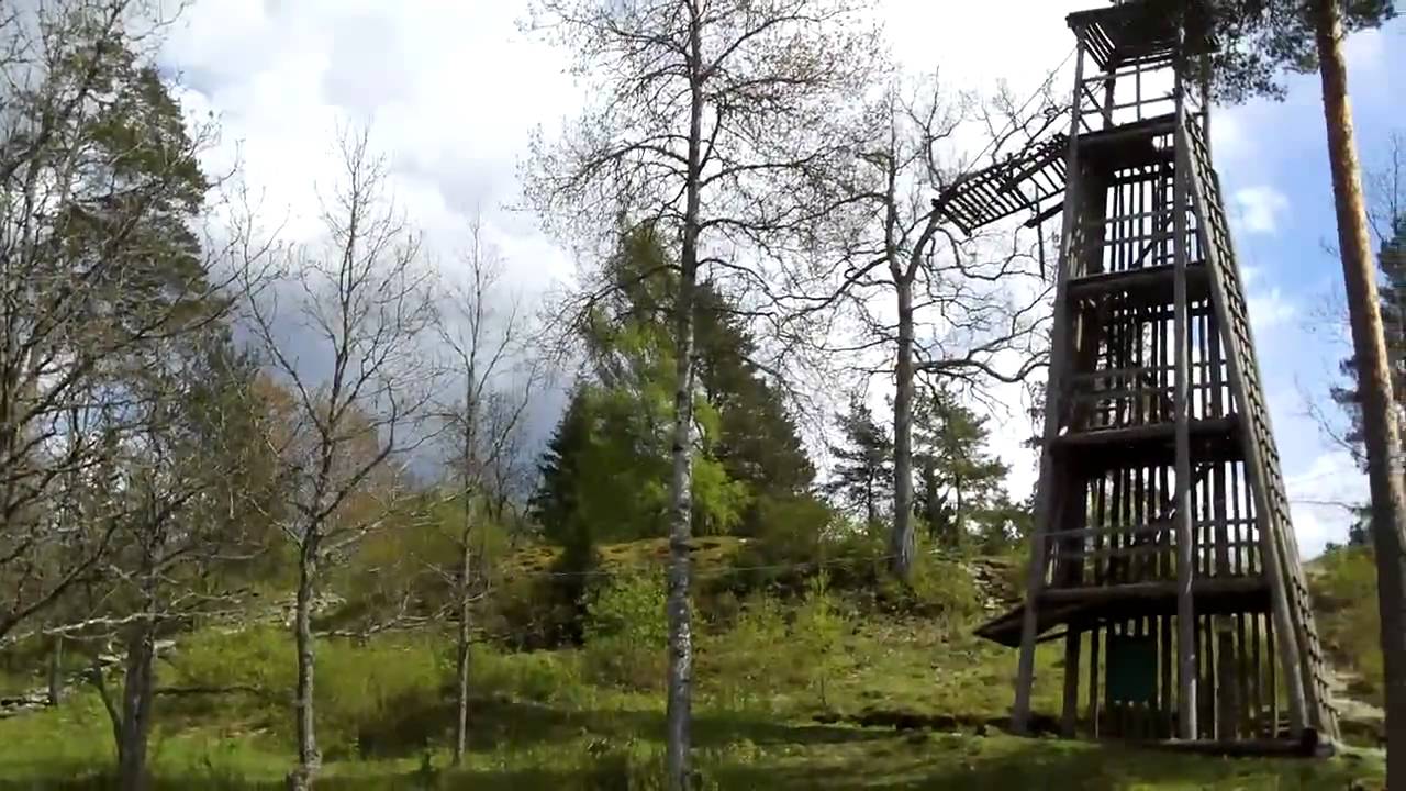 Varbola maalinn