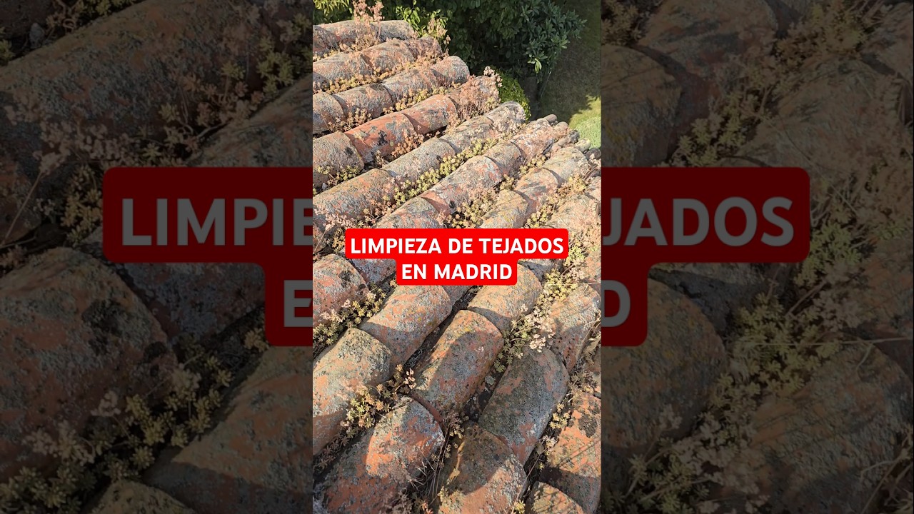 Limpieza y Mantenimiento de Tejado De teja Curva Arabe