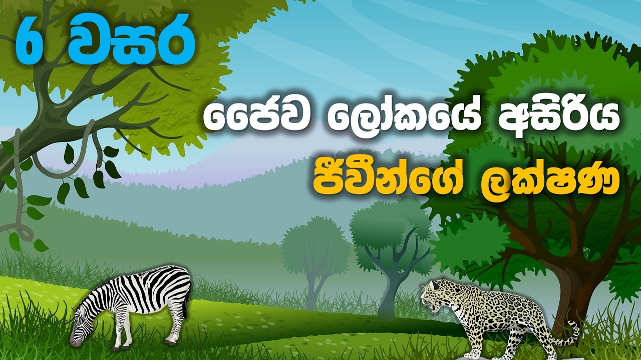 Grade 06 Science lessons in Sinhala |  Unit 01 Part 2 | 6 වසර විද්&zwj;යාව 01 පාඩම | ජෛව ලෝකයේ අසිරිය