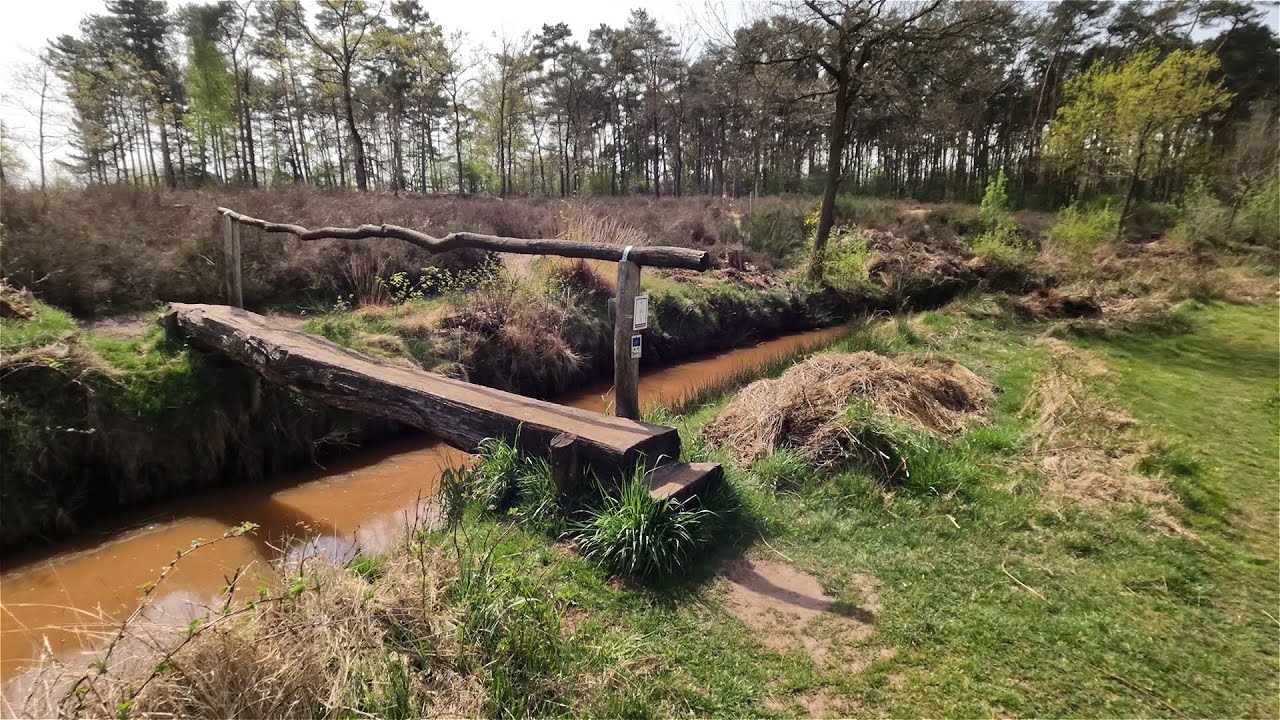Wandeling van het jaar 2022,Scherpenbergen,De Hutten,Meerhout,Geel,Provincie Antwerpen,Natuurpunt