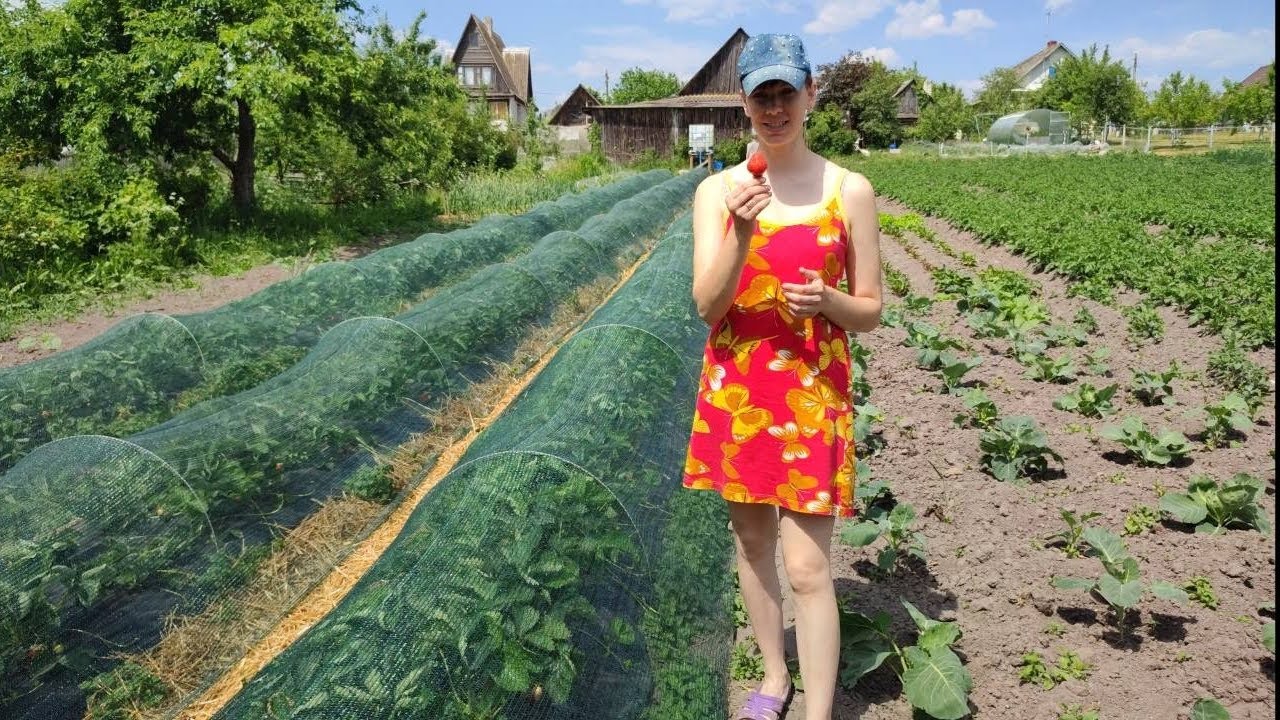 Дом в деревне.Долго об этом молчали, но сейчас можно и рассказать.Мы рады, что в это ввязались!