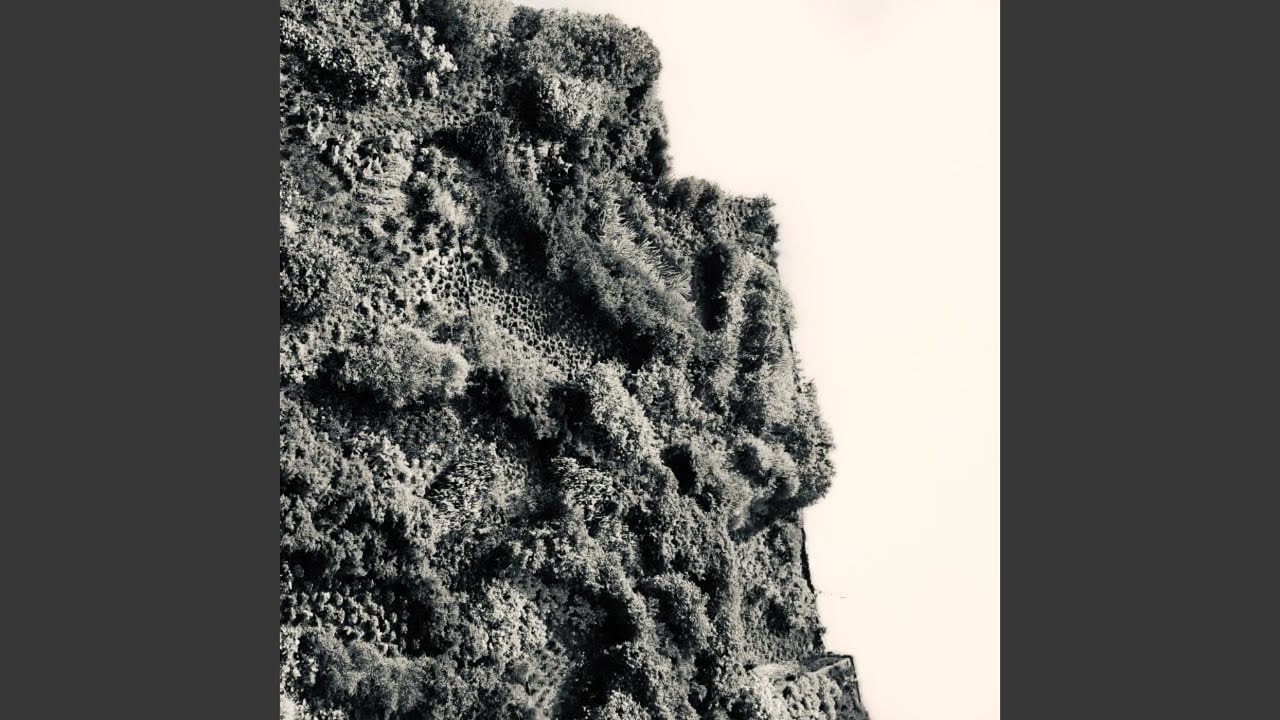 Volto