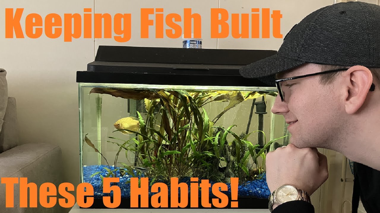 Fishkeeping Built These 5 LIFE CHANGING Habits!