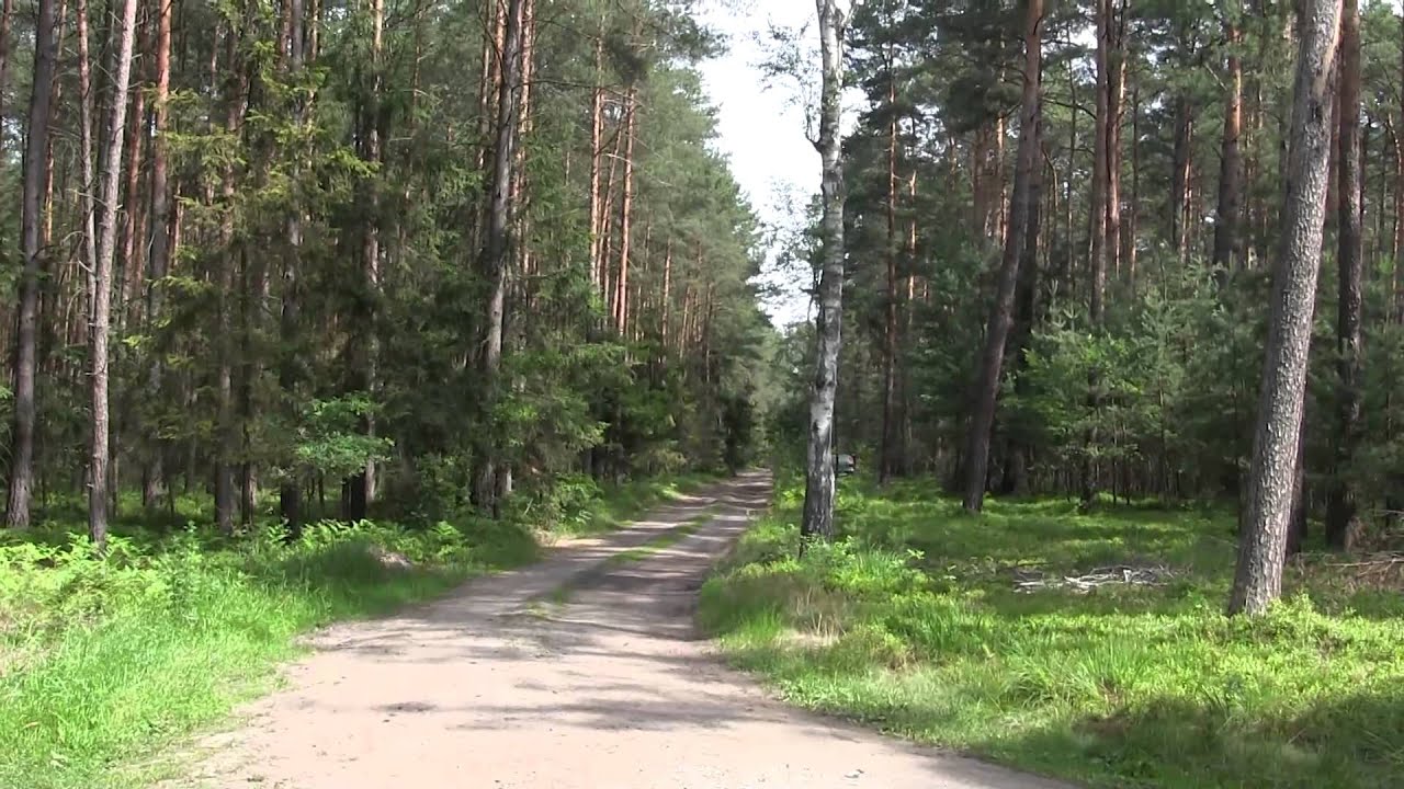 100km on mountain bike - Canon Legria HFM52 - full hd - endomondo