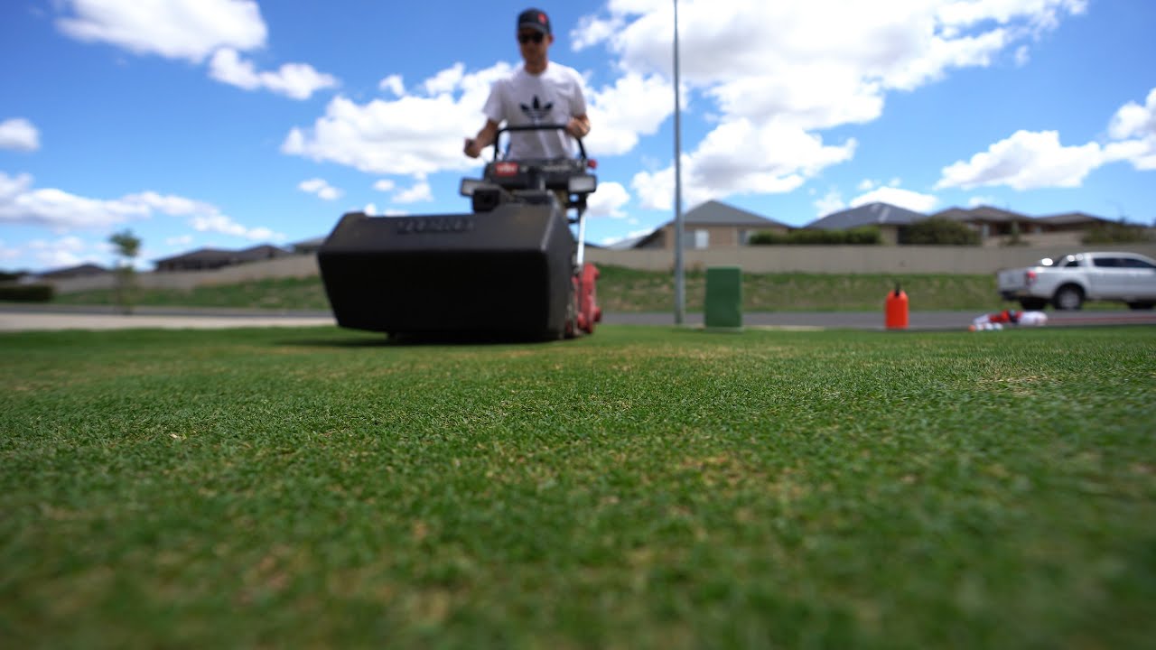 Toro Greensmaster 1000 Mowing at 5mm (0.197) // Home Putting Green