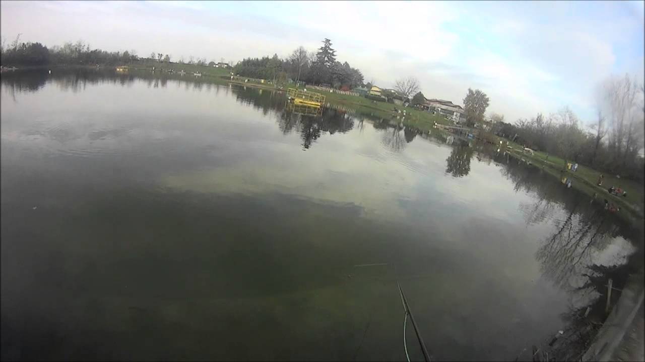 Pesca a streamer - Laghetto Cigno