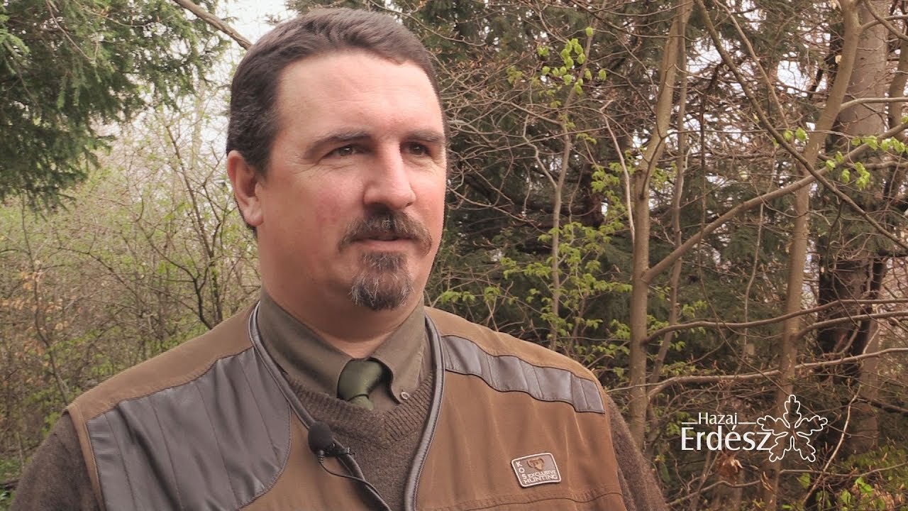 Ugron &Aacute;kos G&aacute;bor vez&eacute;rigazgat&oacute;, VERGA Zrt.- 2019.04.05.