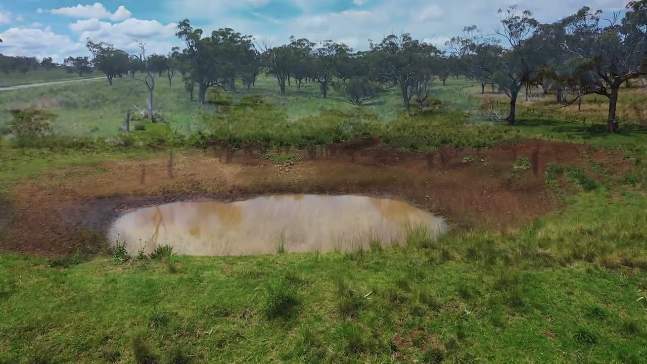 The Paddock Between the Ears – Eco-Action site tours