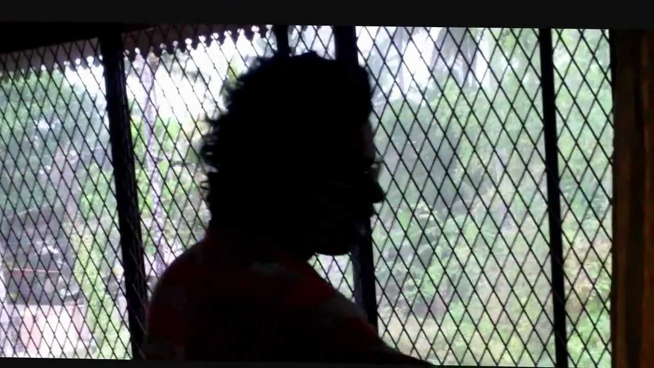 gunda binu in okk location