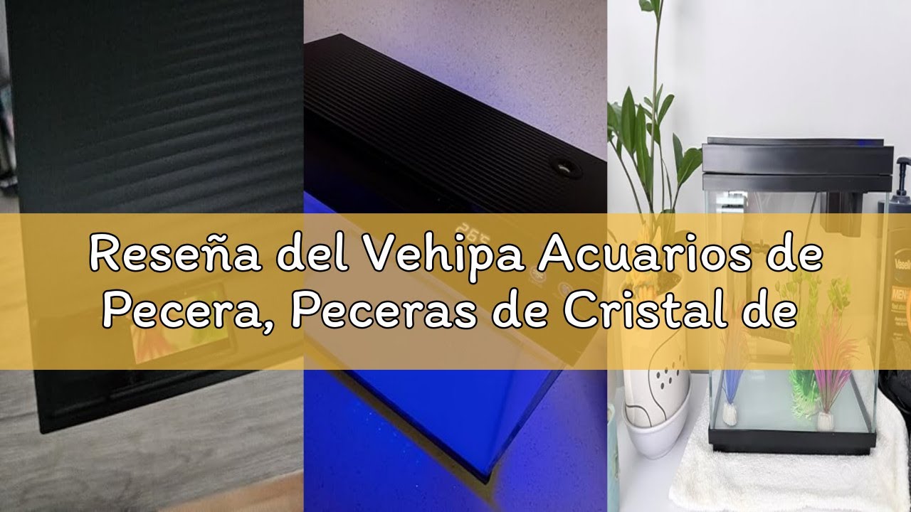 Reseña del Vehipa Acuarios de Pecera, Peceras de Cristal de 9L con Humidificador Inteligente, Indica