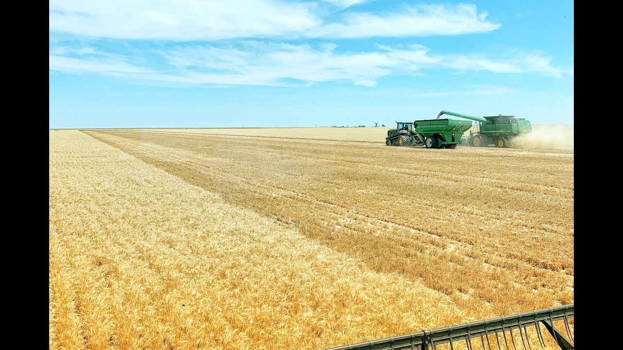 Done with Harvest!