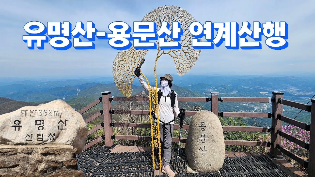 대중교통으로 유명산-용문산 연계산행(5.2)/힘들어도 후회하지 않을 너무나도 아름다운 5월의 산/유명산자연휴양림/배너미고개/용문사 은행나무