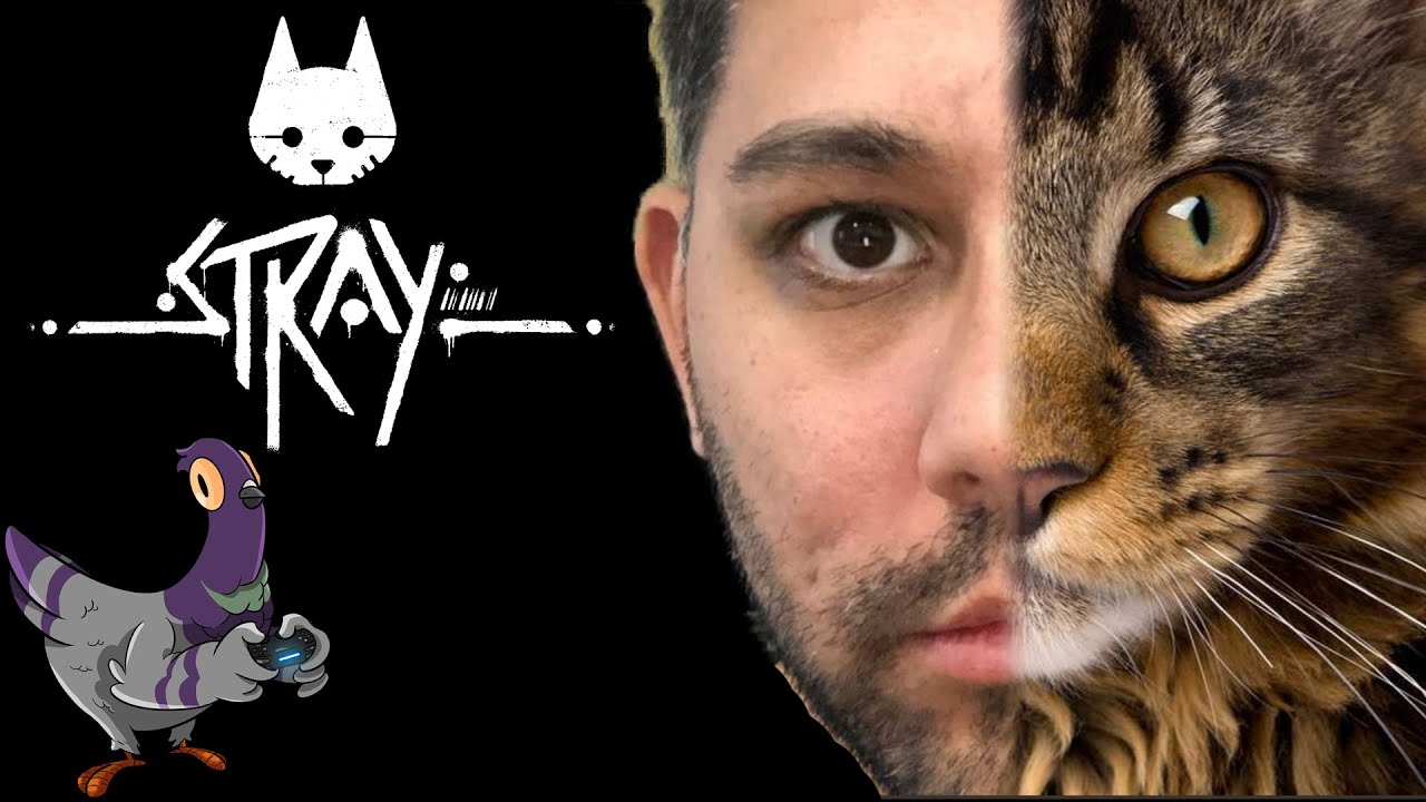 FINALE - STRAY [Walkthrough ITA EP 12]