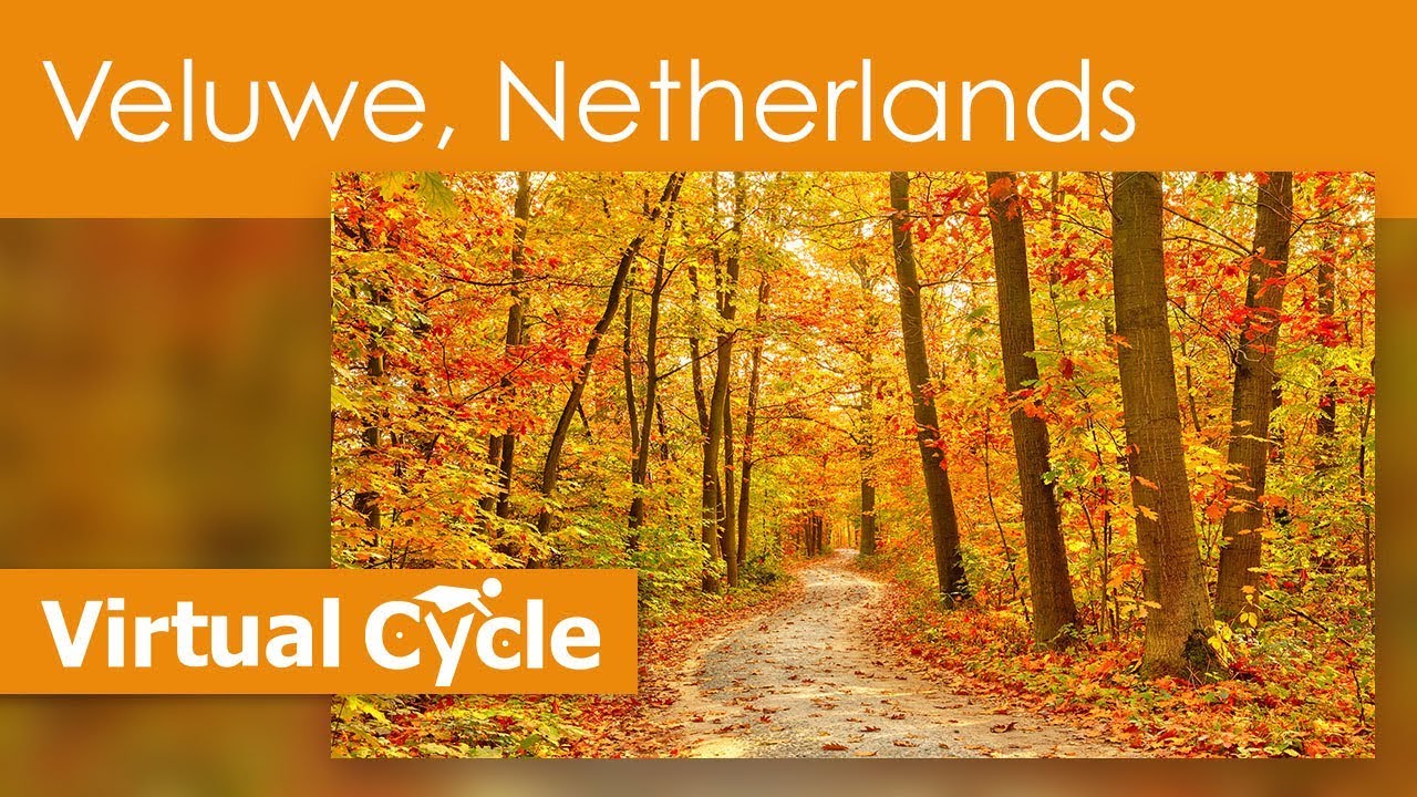 Virtual Cycle Rides - Through The Forest - Filmed In The Veluwe