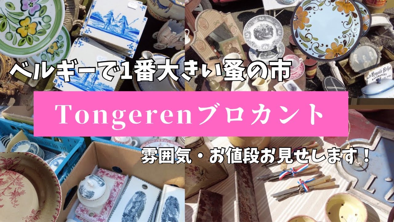 【brocante】Tongeren Flea market ｜｜Summer 2023｜蚤の市