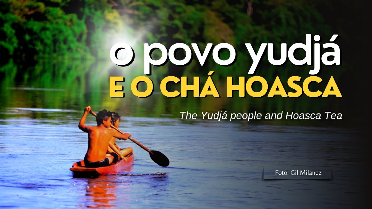 O povo yudjá e o Chá Hoasca | The Yudjá people and Hoasca Tea