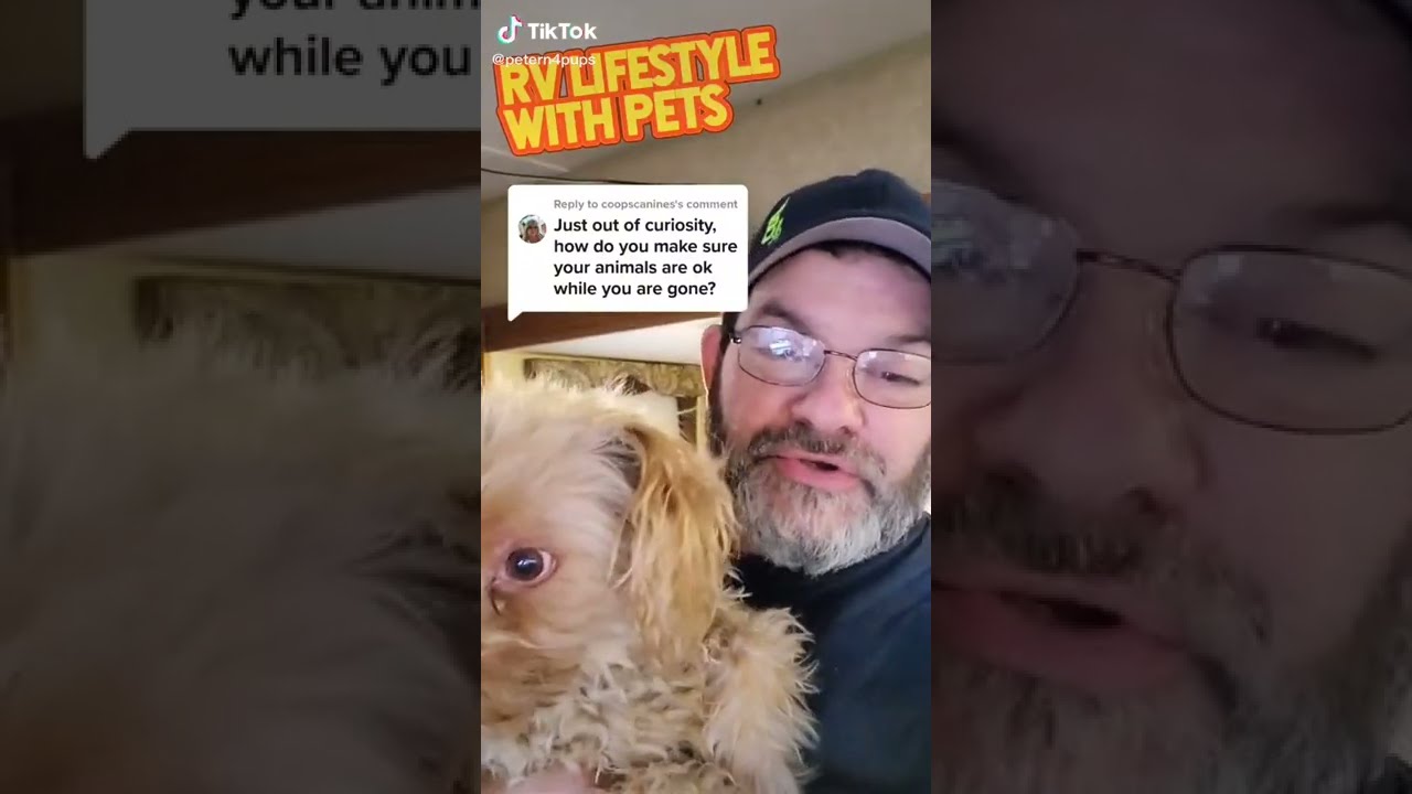 Worrying about leaving your pet alone in RV?