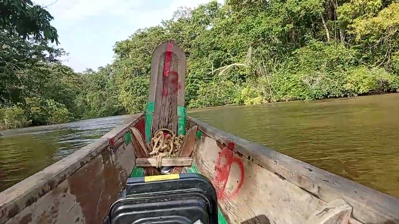Rio marroní Suriname 