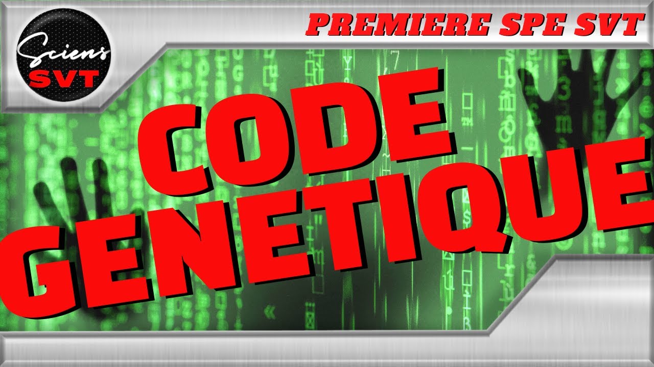 LE CODE GENETIQUE ADN / PROTEINE - G&eacute;n&eacute;tique PREMIERE SPECIALITE SVT