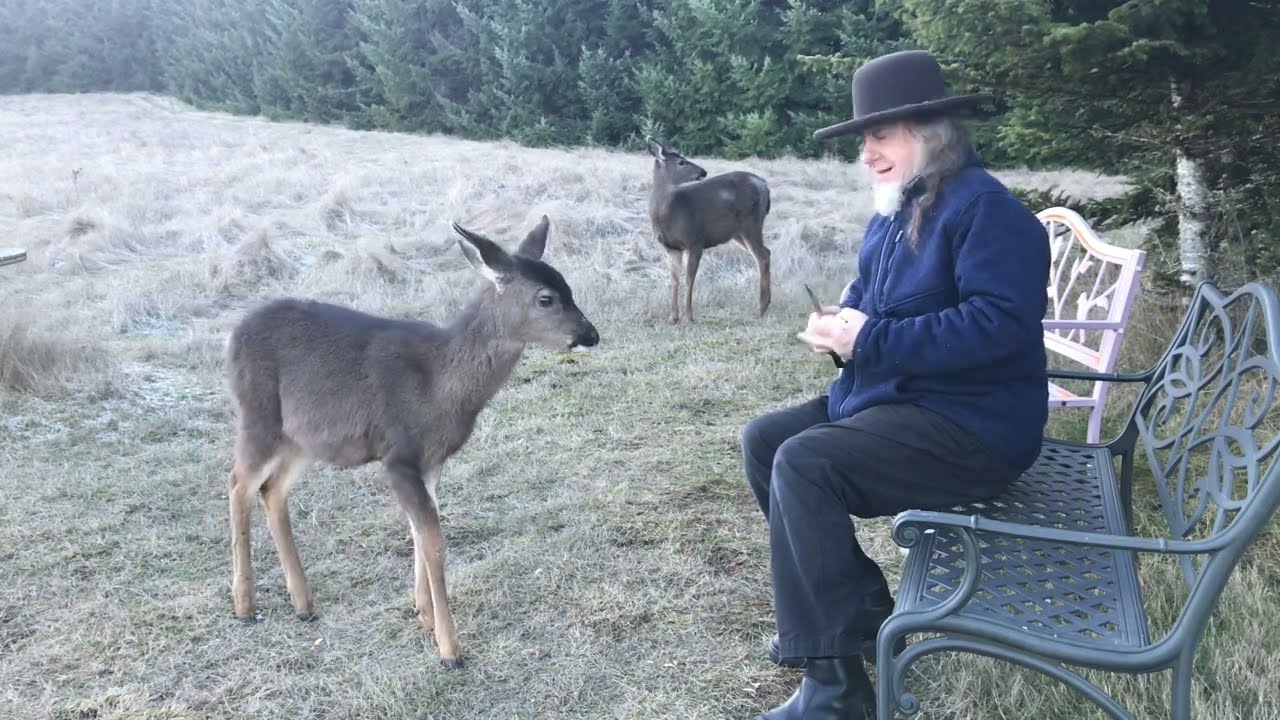 Feeding My Deer Friends Apples * Behind The Scenes