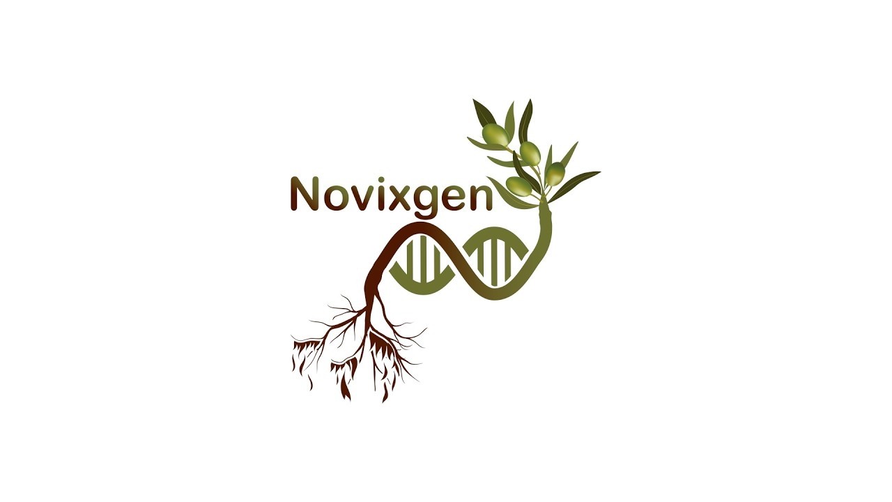 Ксилелла в Апулии: управление чрезвычайными ситуациями, восстановление и роль исследований (Инфан...