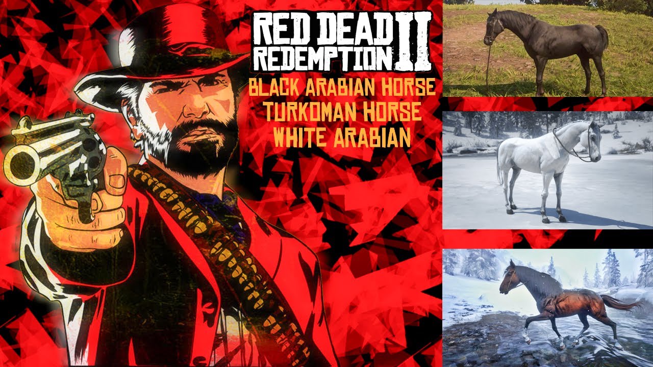 RED DEAD REDEMPTİON 2 - DAMGALI TÜRKMEN, DAMGALI  BEYAZ VE SİYAH ARAP ATLARI NASIL ALIRIZ