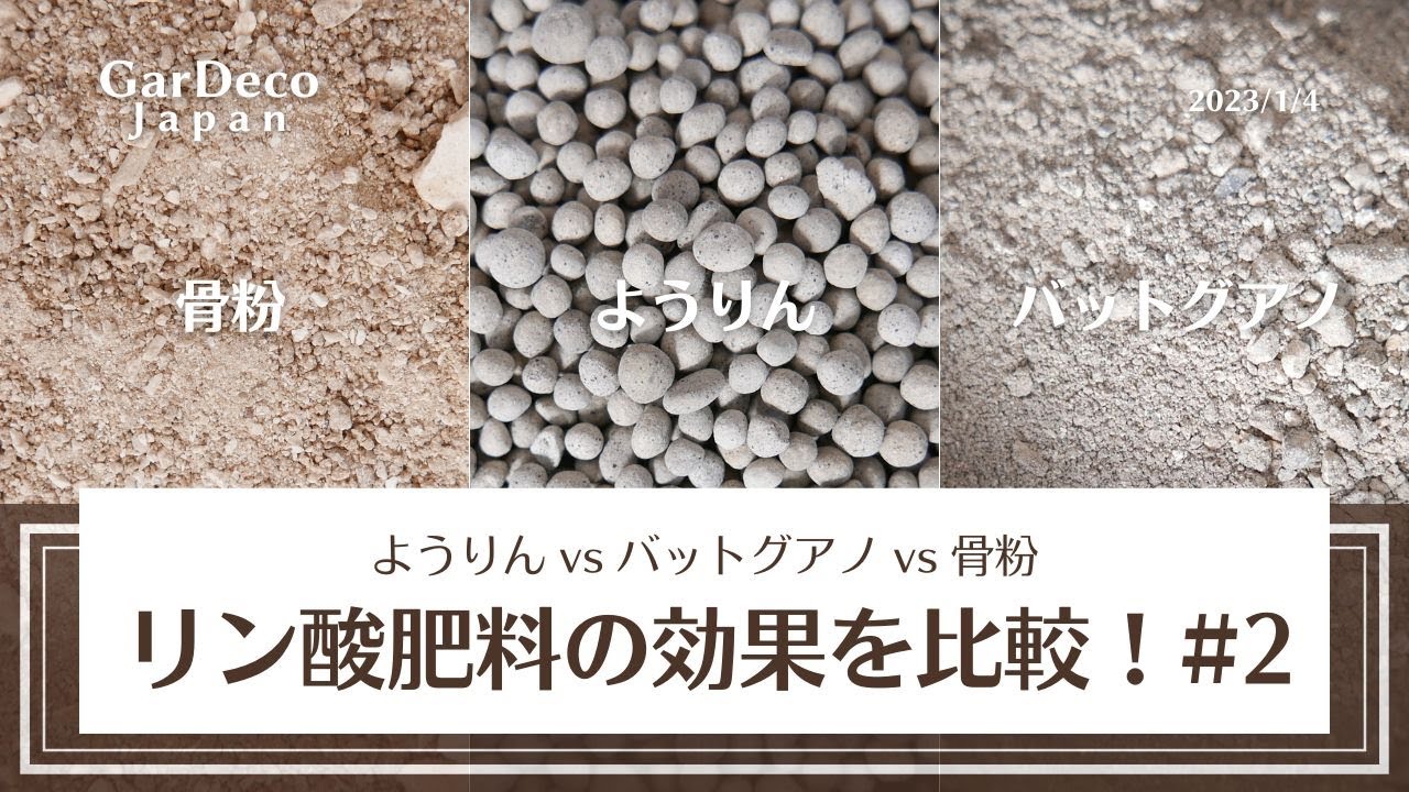 リン酸肥料の効果を比較！ようりんvsバットグアノvs骨粉#2