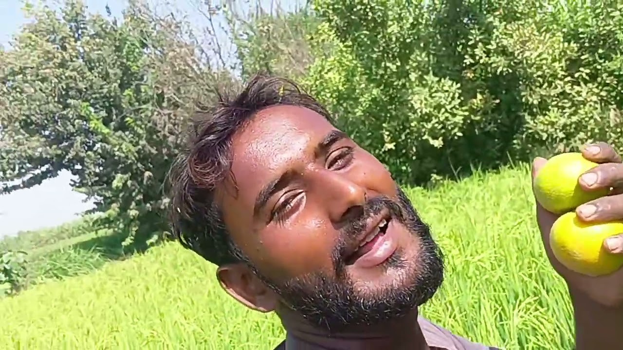 میرے پیارے خوبصورت باغ کا منظر مرزا سکندر خوبصورت 