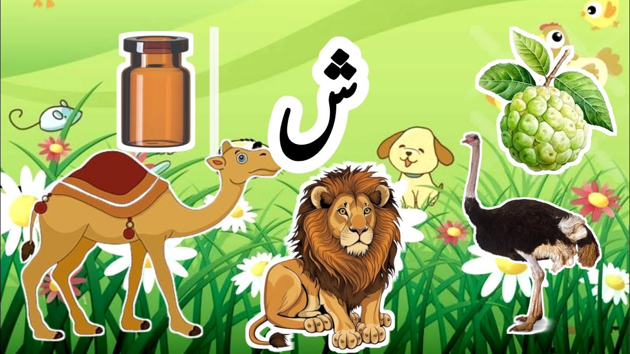 Sheen Sey Shuru Hone Wale Alfaz | Sheen Ki Takhti | Urdu Hurf E Tahajji | Eshu tv