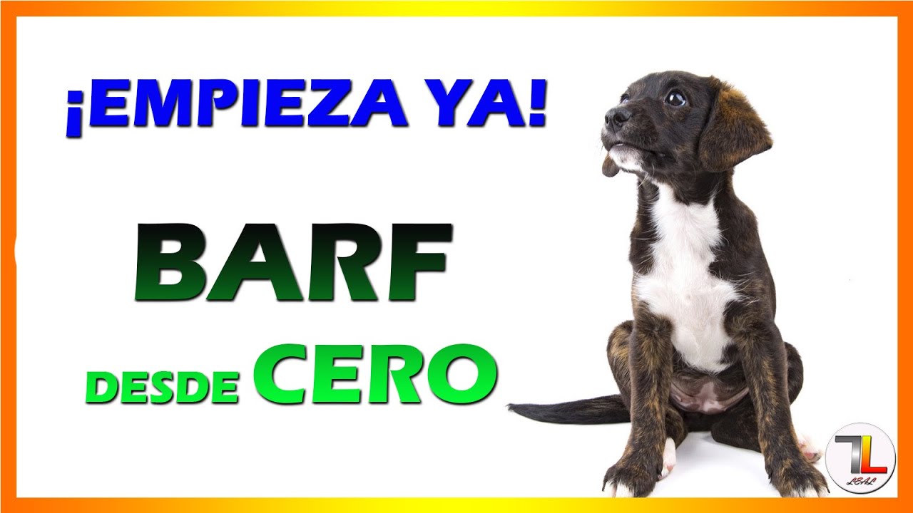 🍗 BARF para CACHORROS | La Mejor Alimentación NATURAL ✔