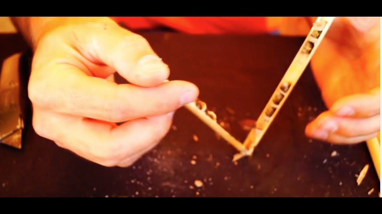 How To Clean Your Bee House with Reeds