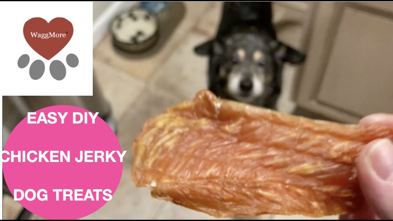 Лакомства для собак из куриного вяленого мяса своими руками