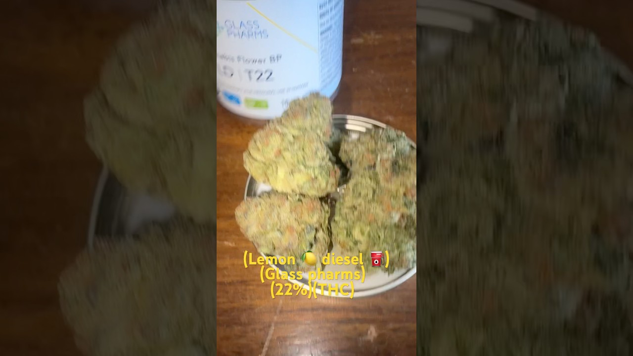 #medical#lemon diesel #glasspharms #22%THC