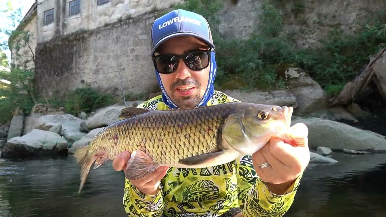 👉Pesca de Kayak aos Chub🎣
