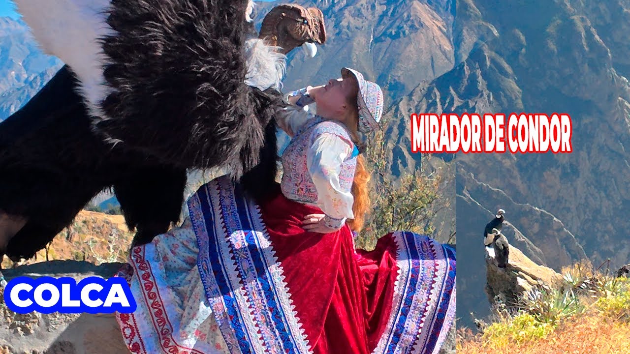 mirador de CONDOR Colca Arequipa