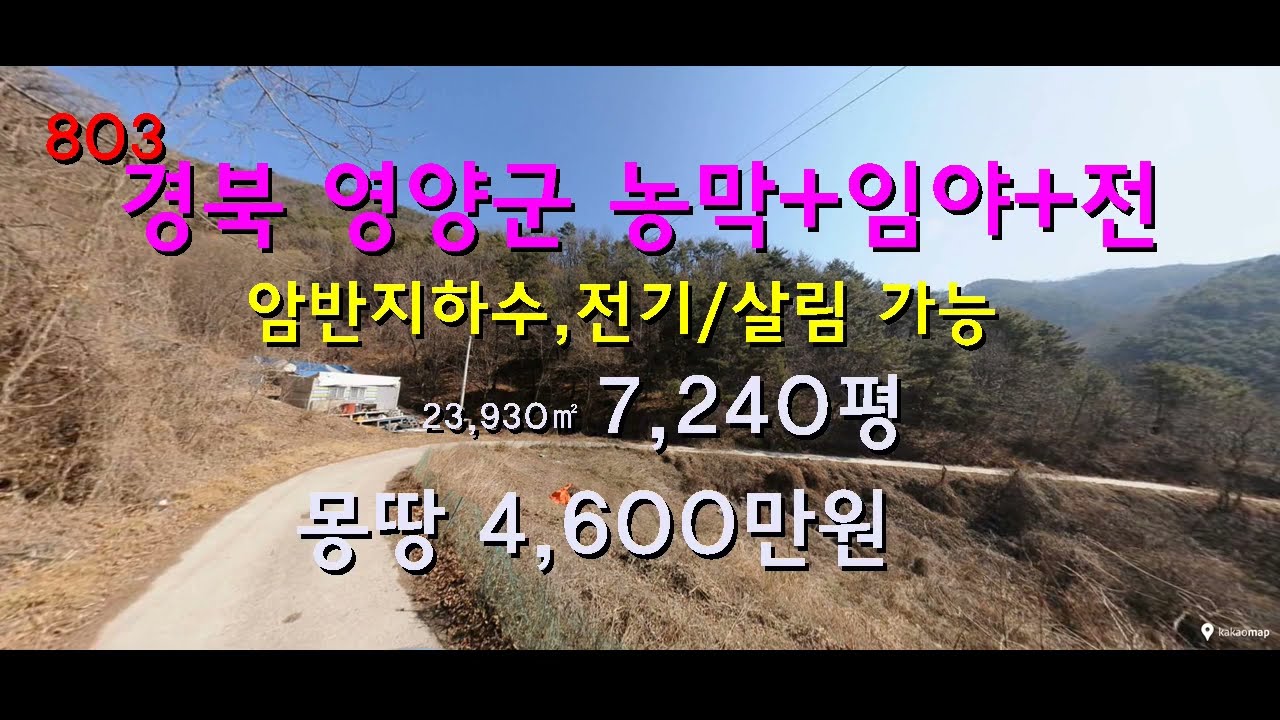 [번호803}경북 영양군 청기면 임야+전+농막