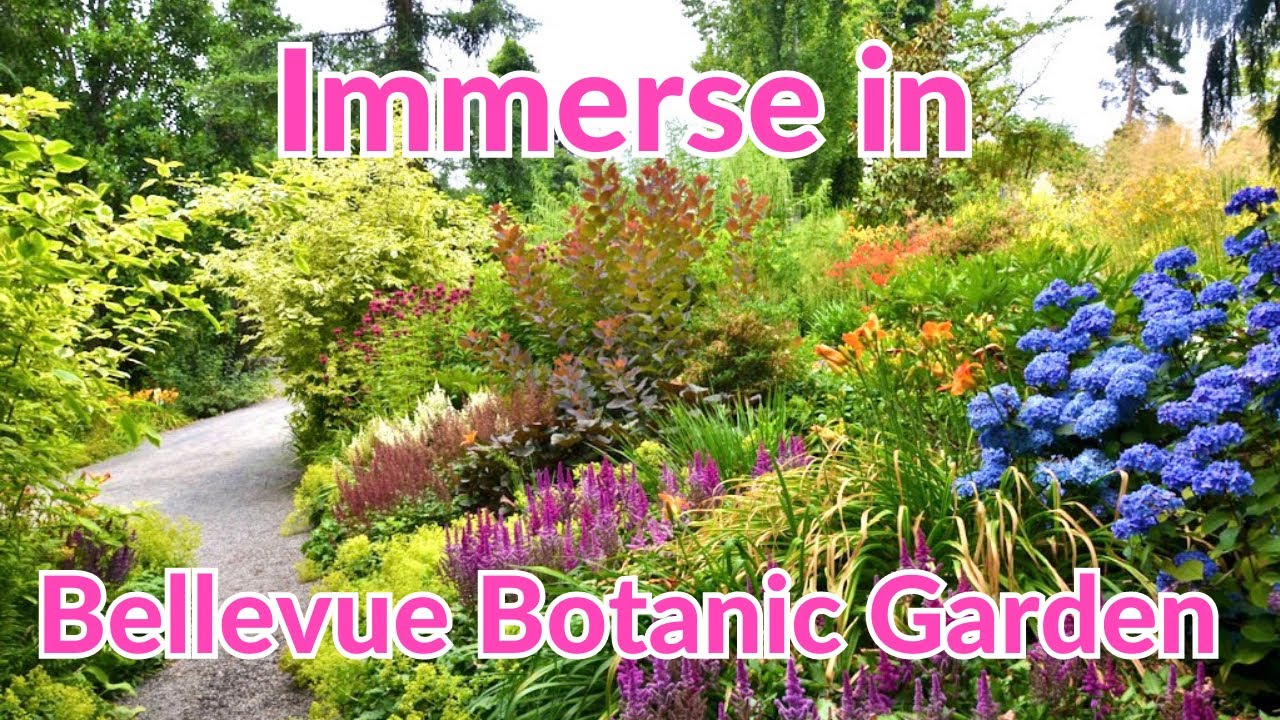Immerse Yourself in the Beauty of BELLEVUE BOTANIC GARDEN