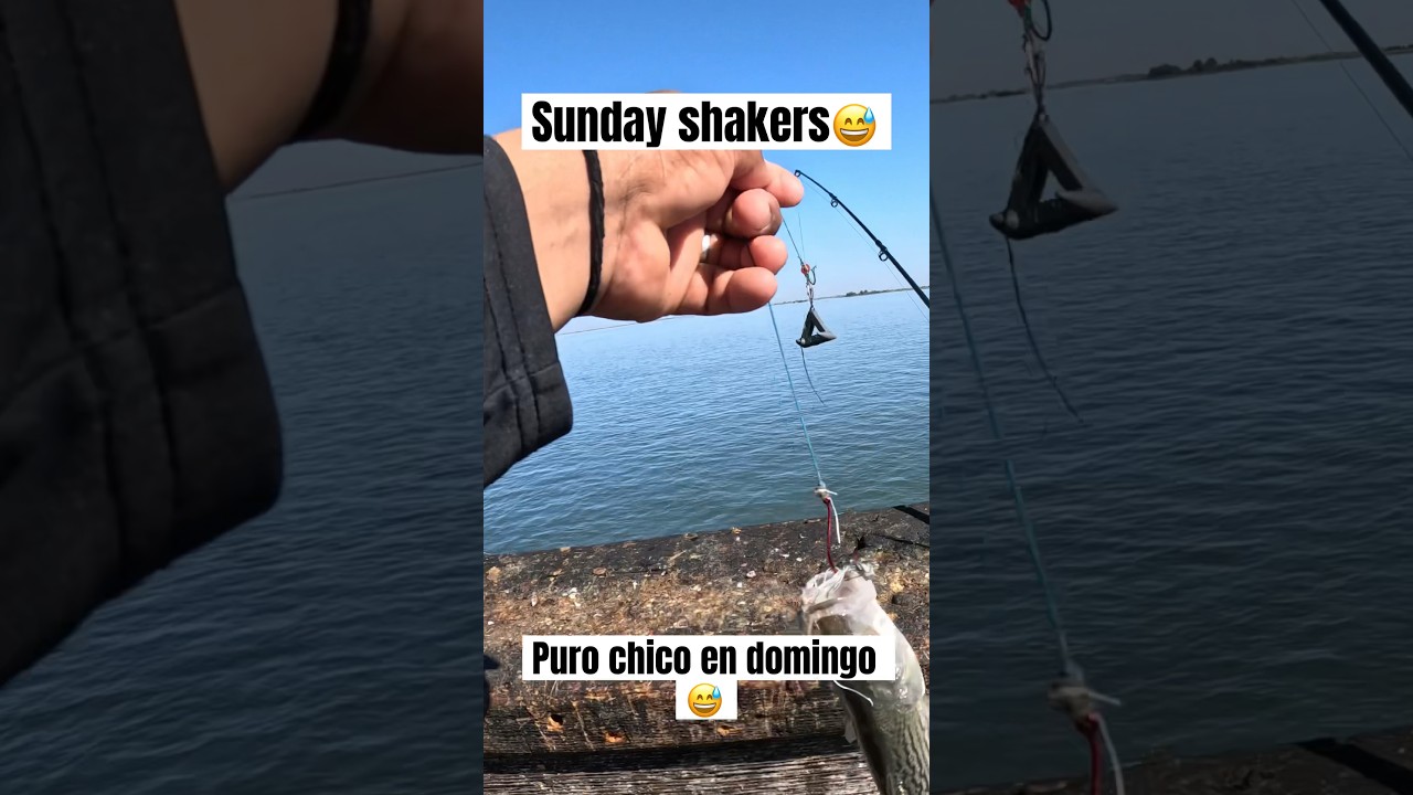 Antioch/Oakley pier fishing 🎣 