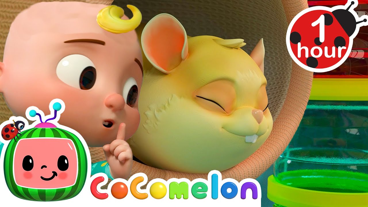 Jellybean the Sleepy Hamster | CoComelon Animal Time - Learning with Animals | Nursery Rhymes