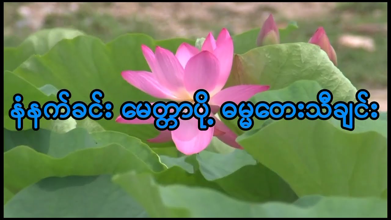 နံနက်ခင်း မေတ္တာပို့ ဓမ္မတေးသီချင်း#တရားတော်များ #မေတ္တာပို့ #သီခ်င္း #နံနက်တိုင်းဖွင့်ပါ
