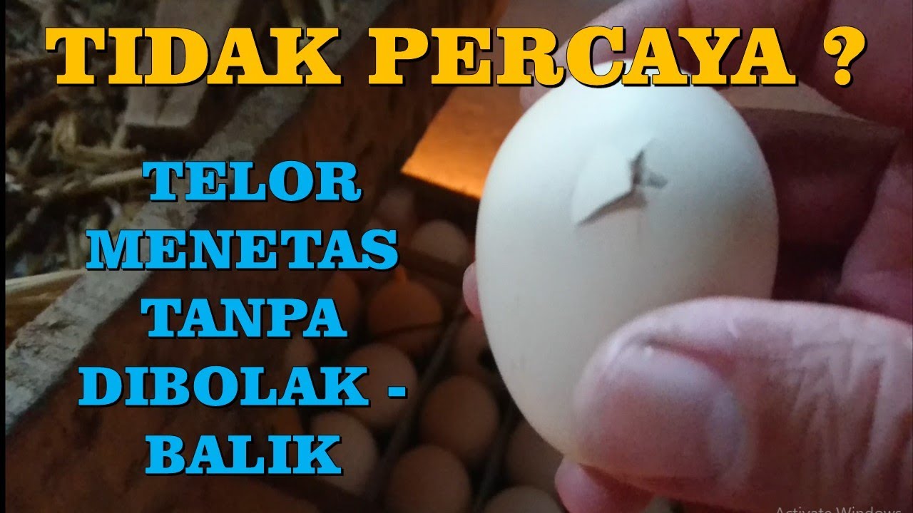 110# MESIN TETAS GAK PAKE RIBET BOLAK BALIK TELOR