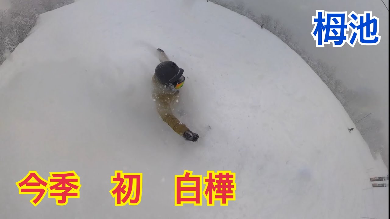 #250 2026/1/2 栂池　今季初　白樺