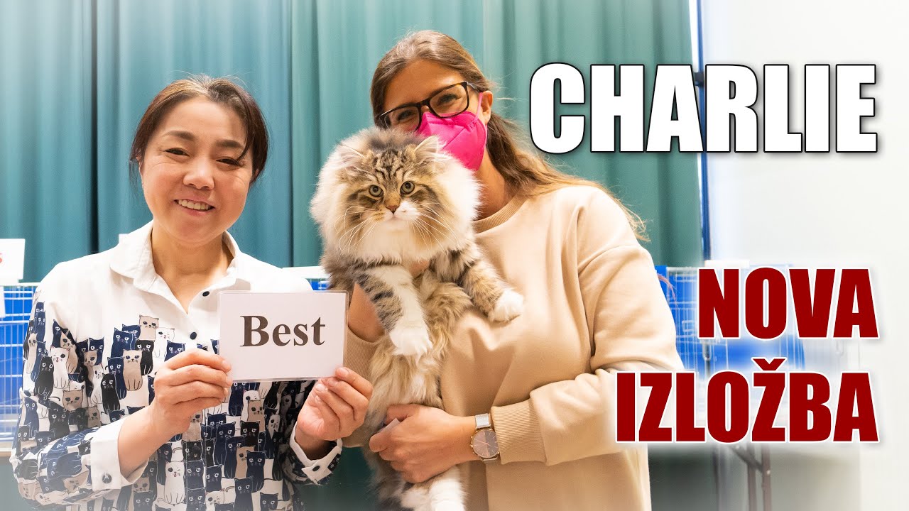 Čarlijev dolazak i njegova prva izložba (ENG & GER subtitle)